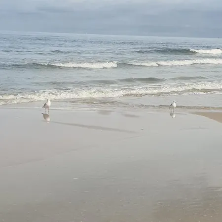 Διαμέρισμα Osiedle Bursztynowe Promocja