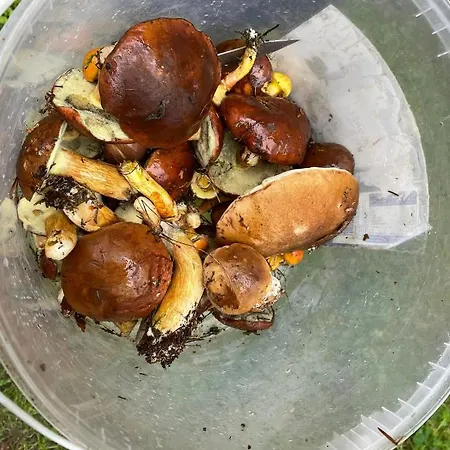 Osiedle Bursztynowe Promocja Jantar