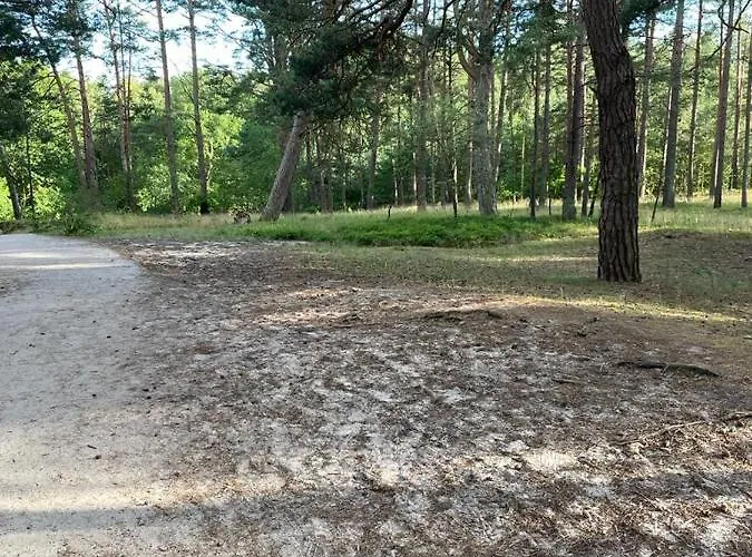 Osiedle Bursztynowe Promocja * Jantar