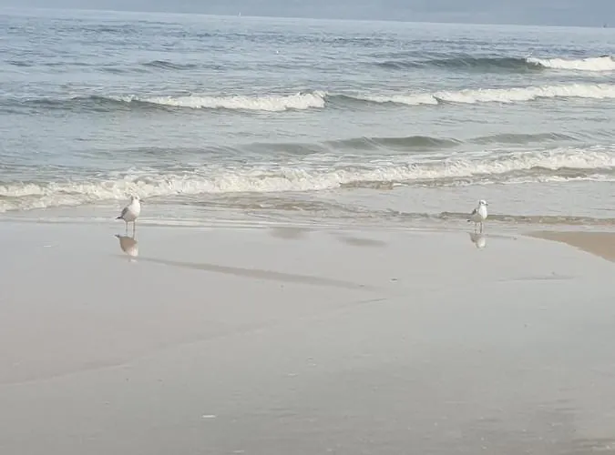 Апартаменты Osiedle Bursztynowe Promocja