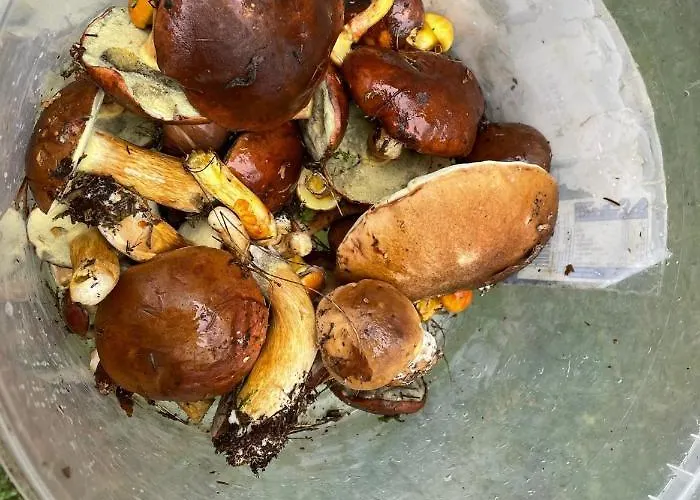 Osiedle Bursztynowe Promocja Янтар