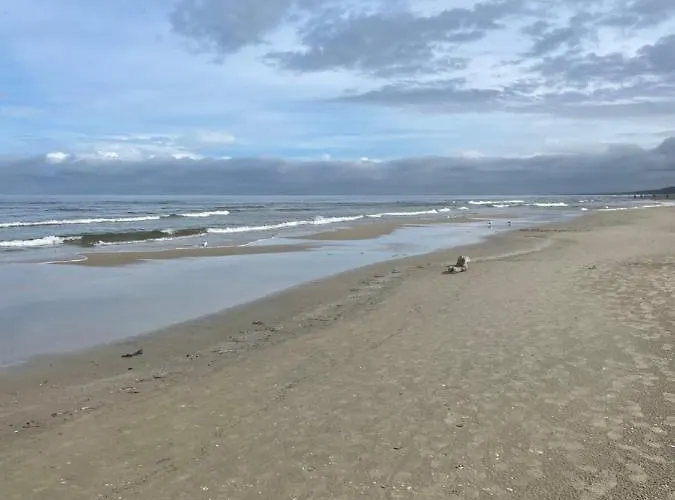 Osiedle Bursztynowe Promocja *