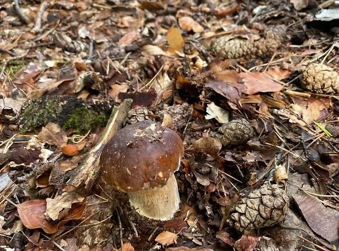 Osiedle Bursztynowe Promocja *